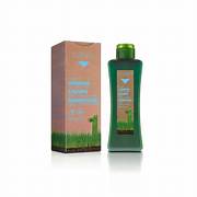 CHAMPÚ MIEL-SCALP DE BIOQUERA SALERM 300 ML