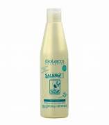 SALERM 21 PROTEINAS DE SEDA 250 ML